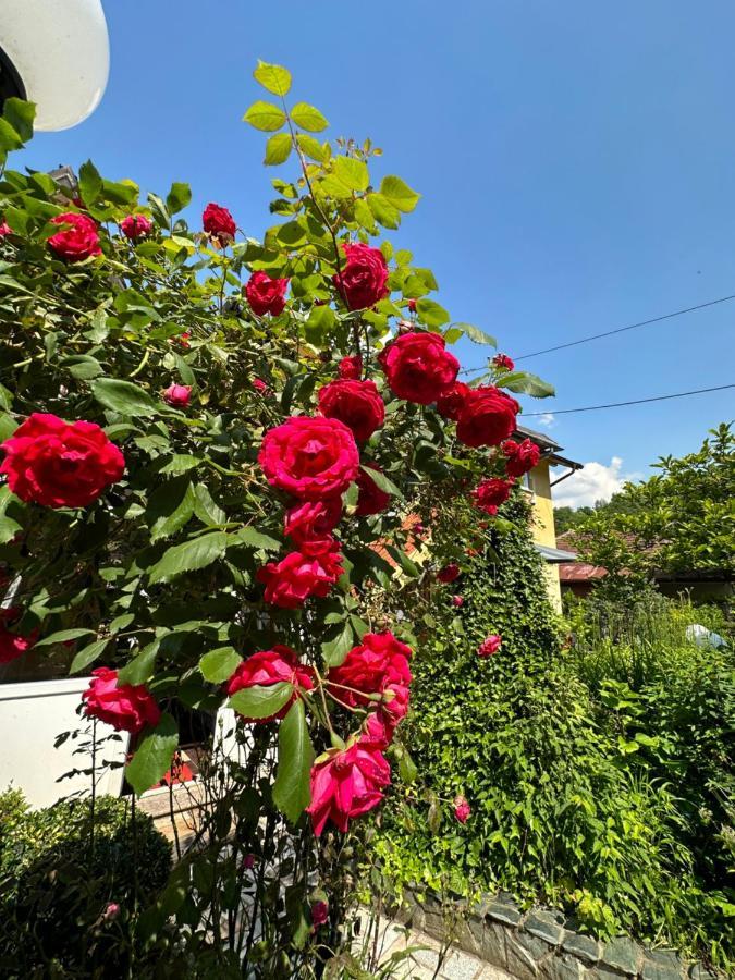 Beautiful House Overlooking Sarajevo Bagian luar foto
